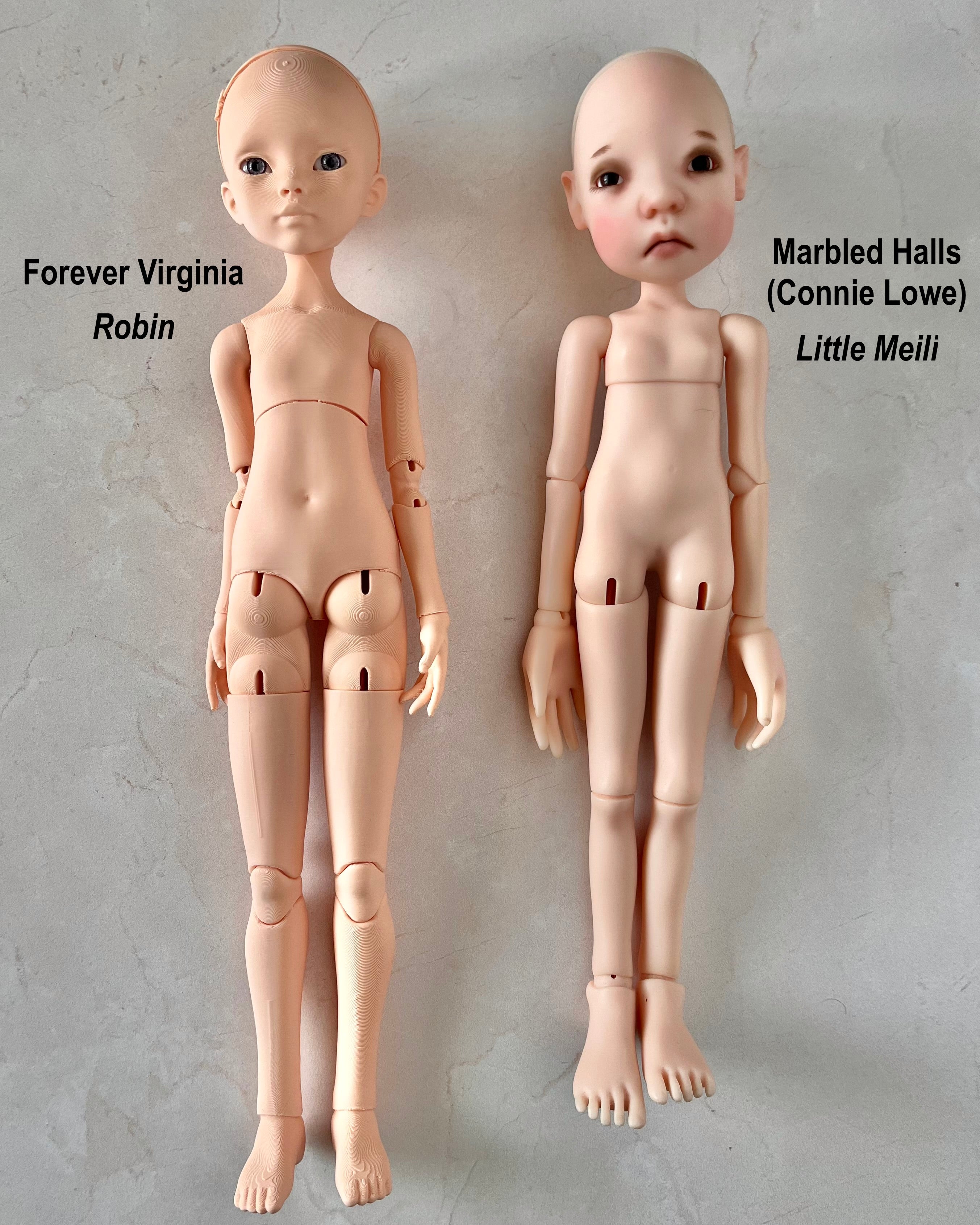 Robin Early Bird Preorder - Limited to 10 Slots